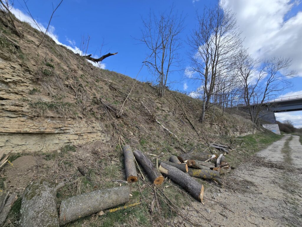 Autors: www.bauskasdzive.lv