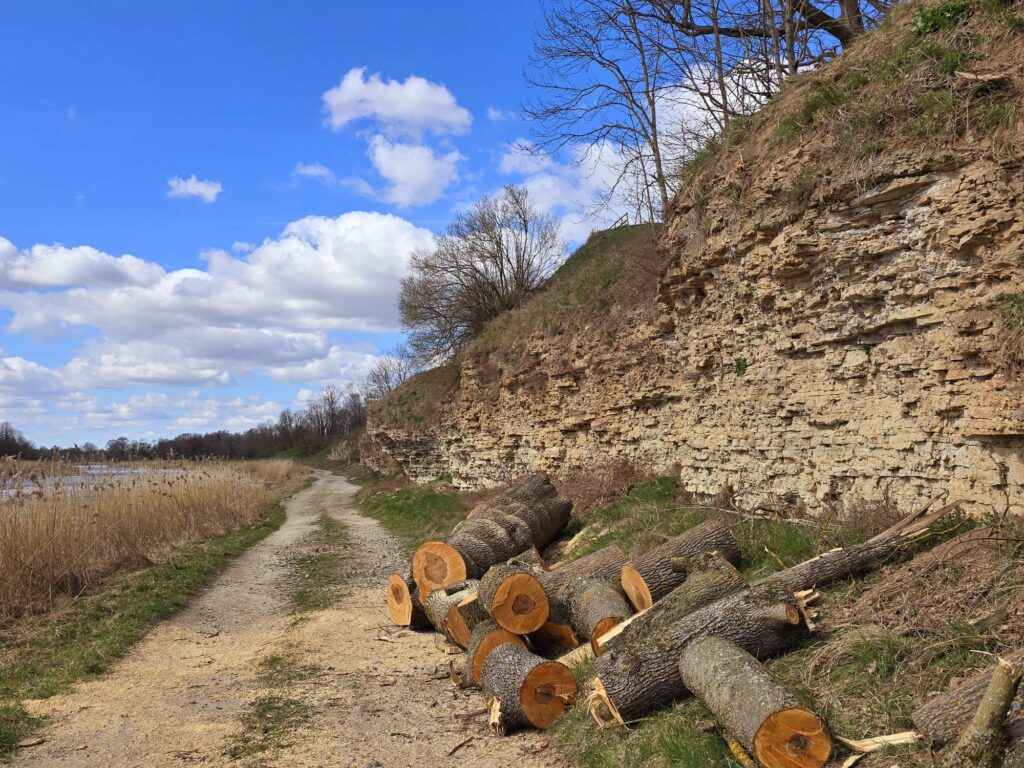 Autors: www.bauskasdzive.lv