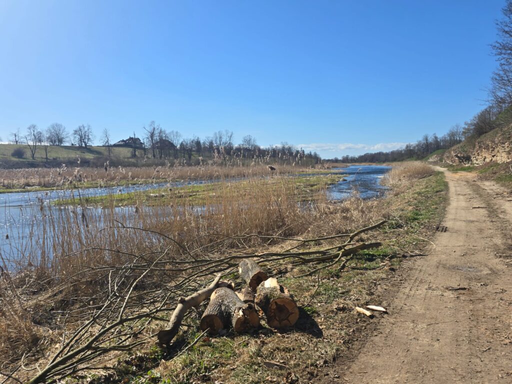 Autors: www.bauskasdzive.lv