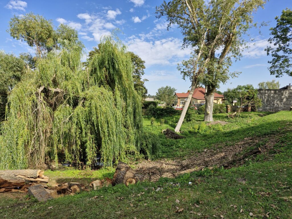 Autors: Ilva Kalniņa