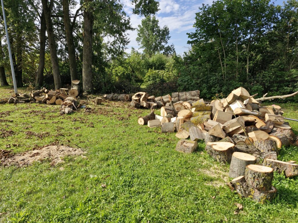 Autors: Ilva Kalniņa