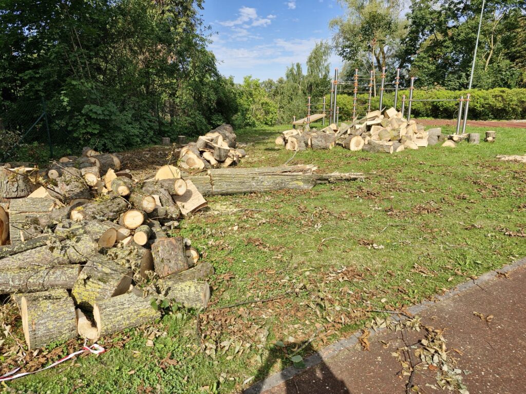 Autors: Ilva Kalniņa