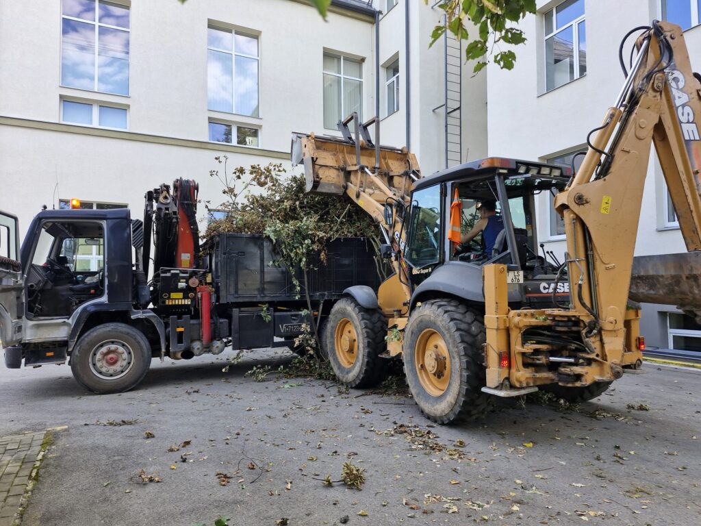 Autors: Ilva Kalniņa