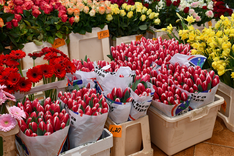 Autors: Ivars Bogdanovs