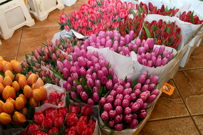 Autors: Ivars Bogdanovs