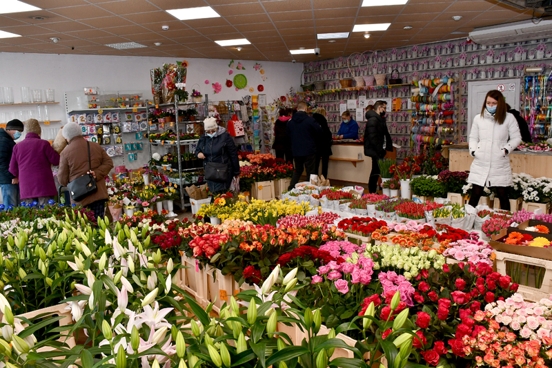 Autors: Ivars Bogdanovs