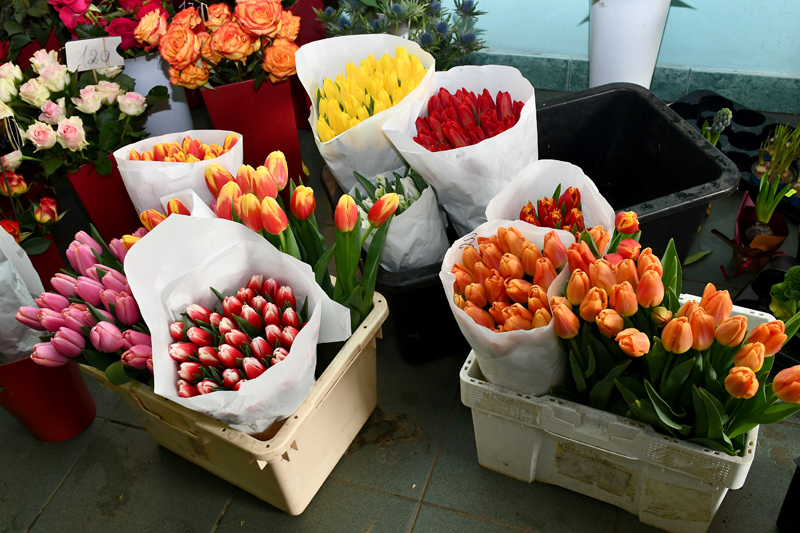 Autors: Ivars Bogdanovs