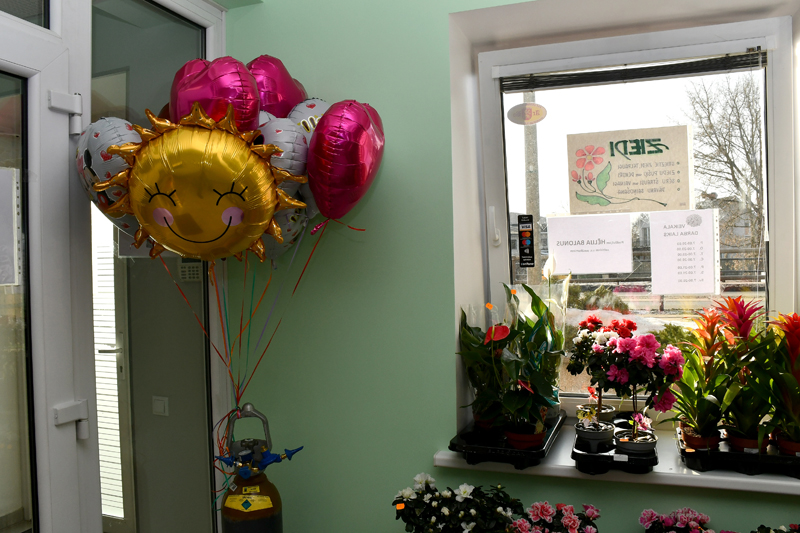 Autors: Ivars Bogdanovs