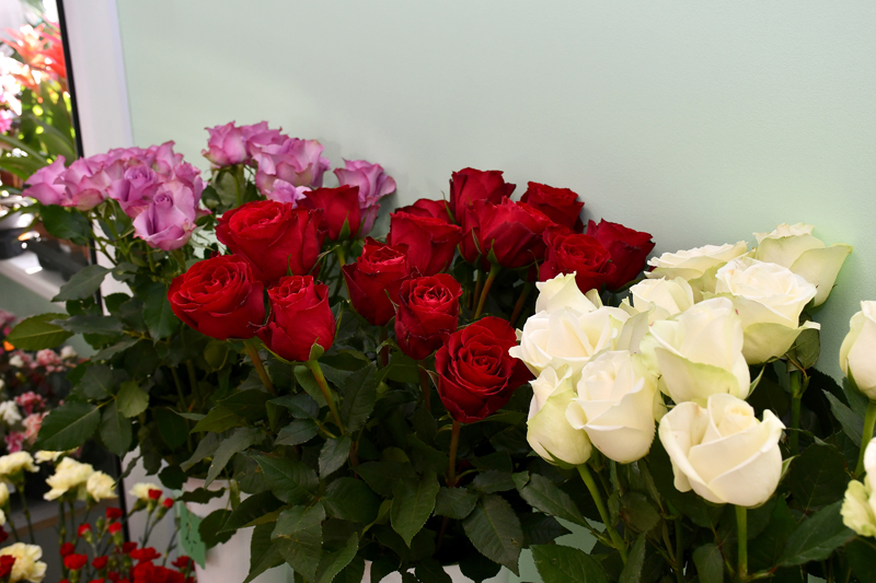 Autors: Ivars Bogdanovs