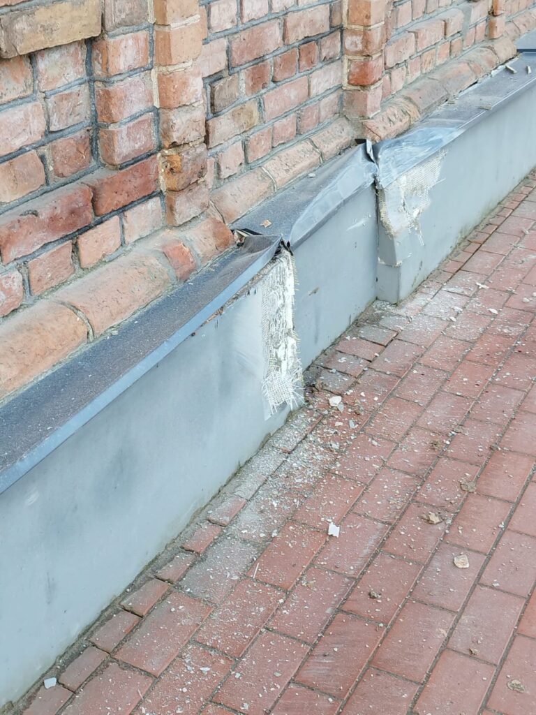 Autors: Aculiecinieka foto.