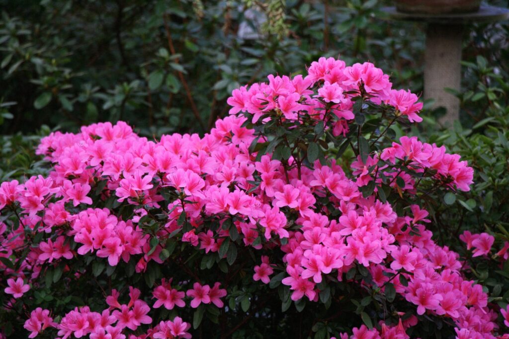 Autors: Publicitātes foto.