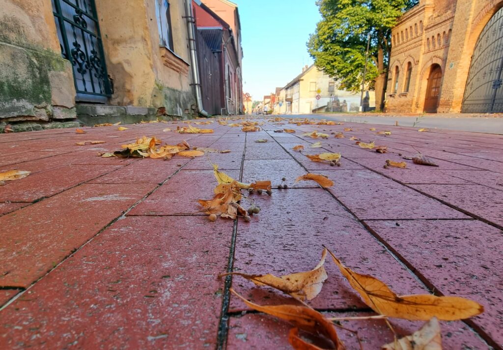 Autors: www.bauskasdzive.lv