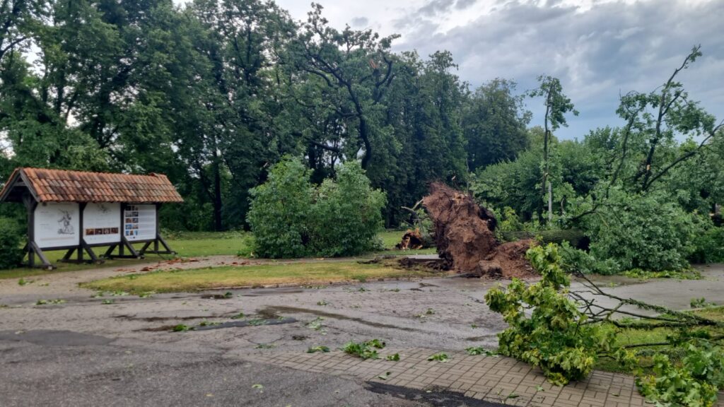 Autors: www.bauskasdzive.lv