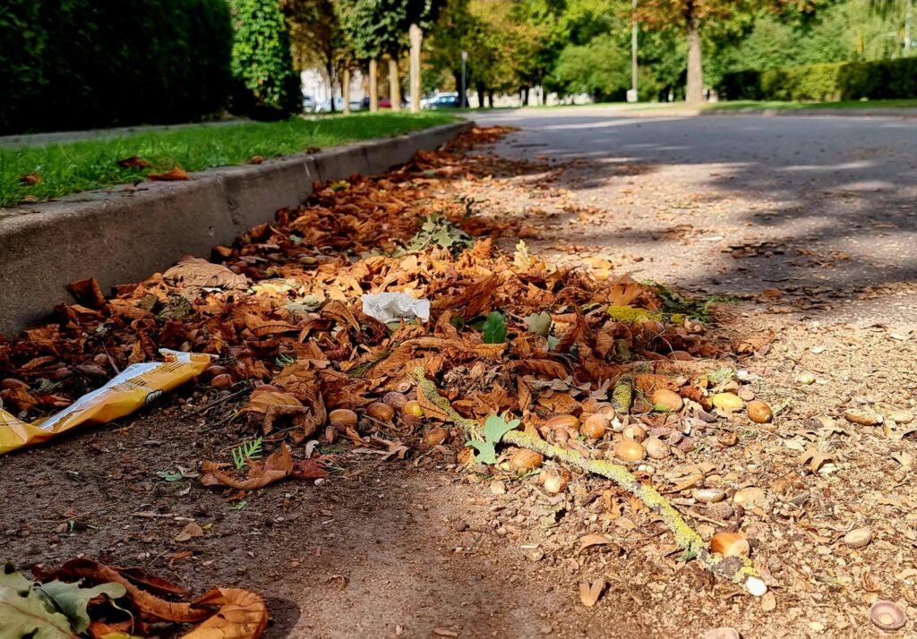 Autors: www.bauskasdzive.lv