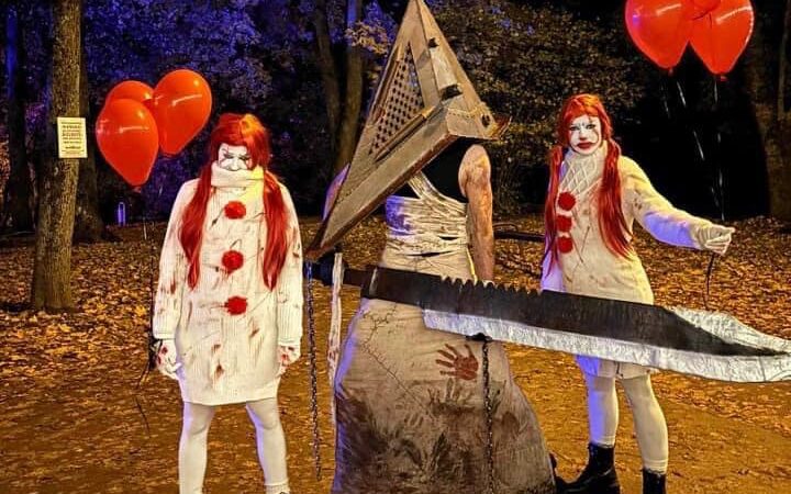 Aluksniesiem.lv raksta attēla aizvietotājs