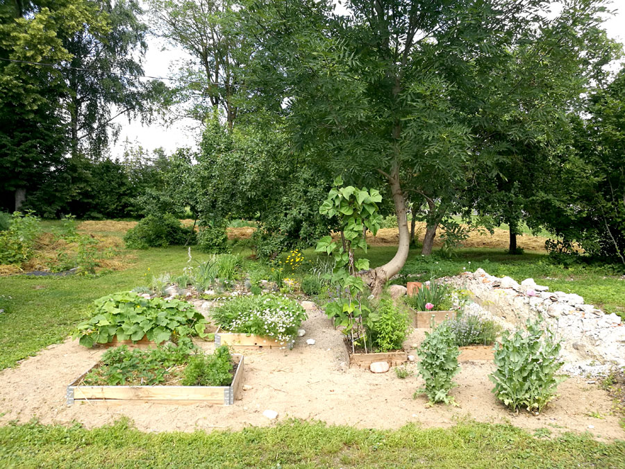 Aluksniesiem.lv raksta attēla aizvietotājs