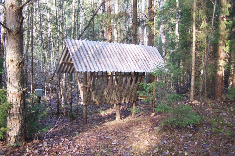 Aluksniesiem.lv raksta attēla aizvietotājs