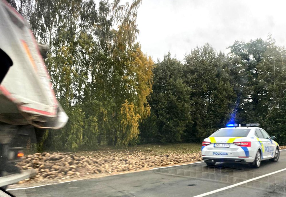 Autors: www.bauskasdzive.lv