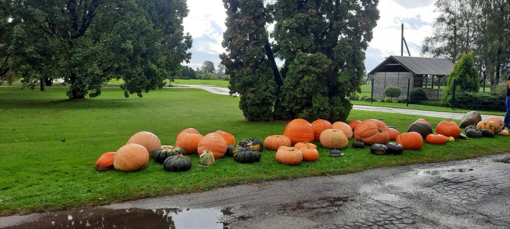 Autors: No skolas albuma.