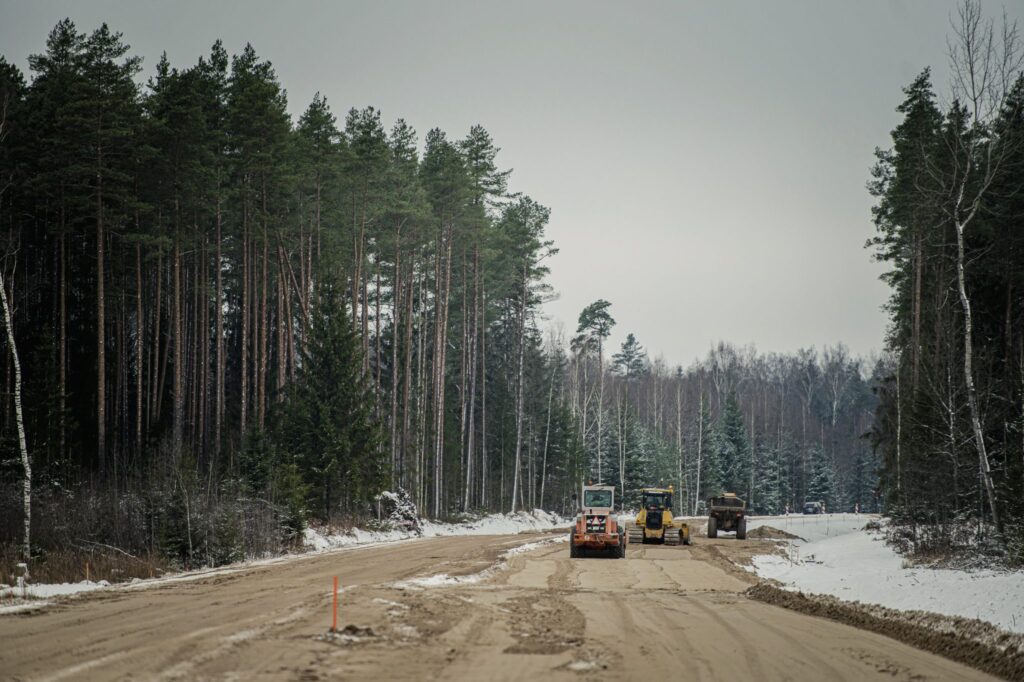 Autors: Renārs Koris