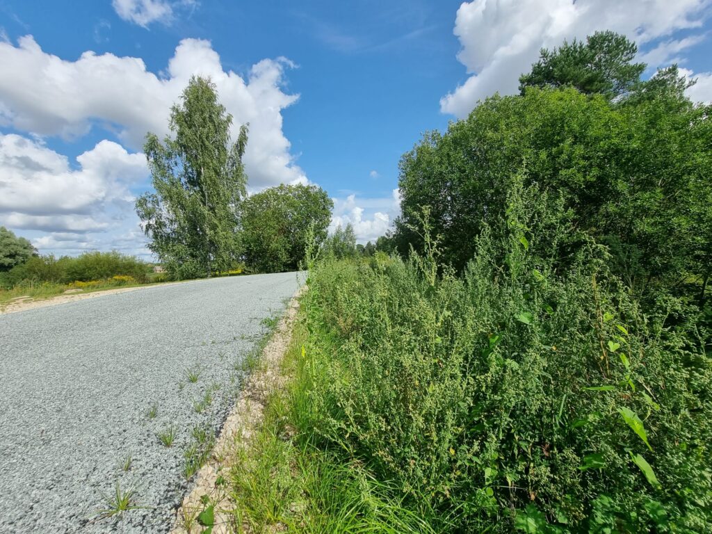 Autors: www.bauskasdzive.lv