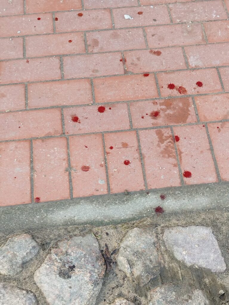 Autors: Aculiecinieka foto.