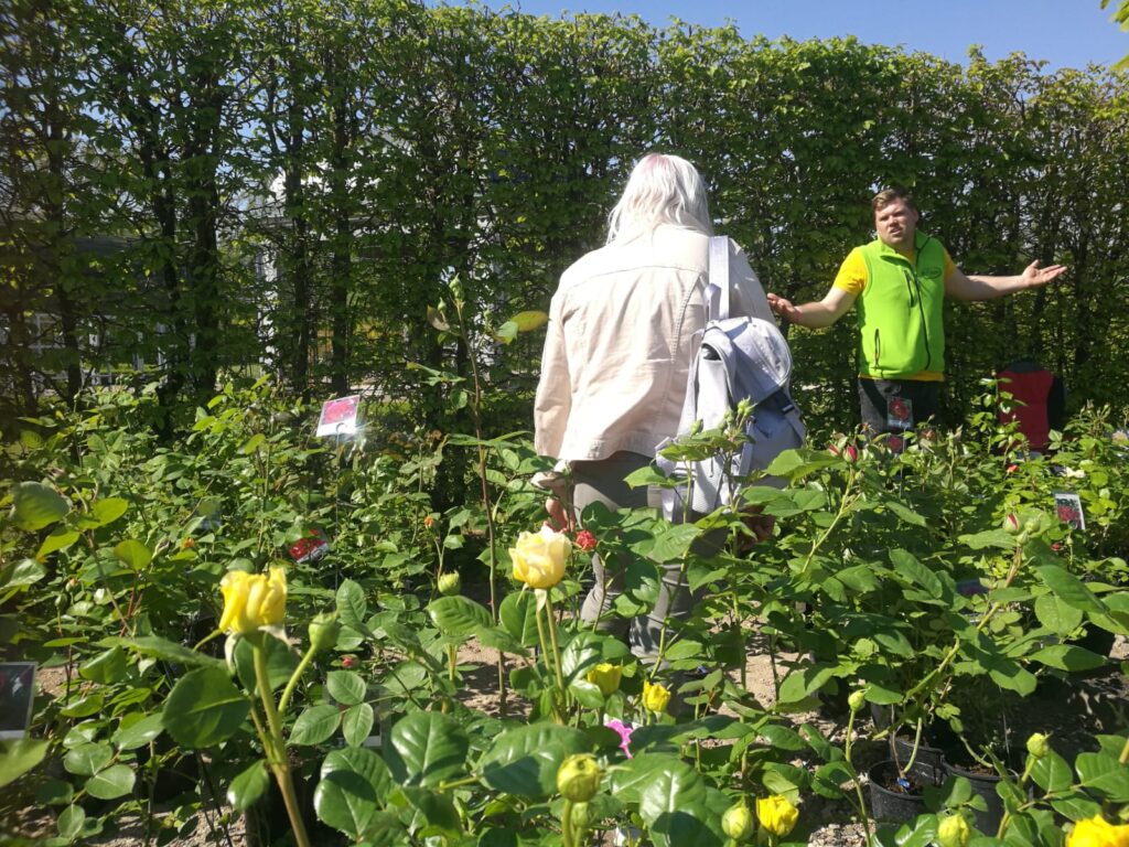 Autors: Kristīne Sēnele