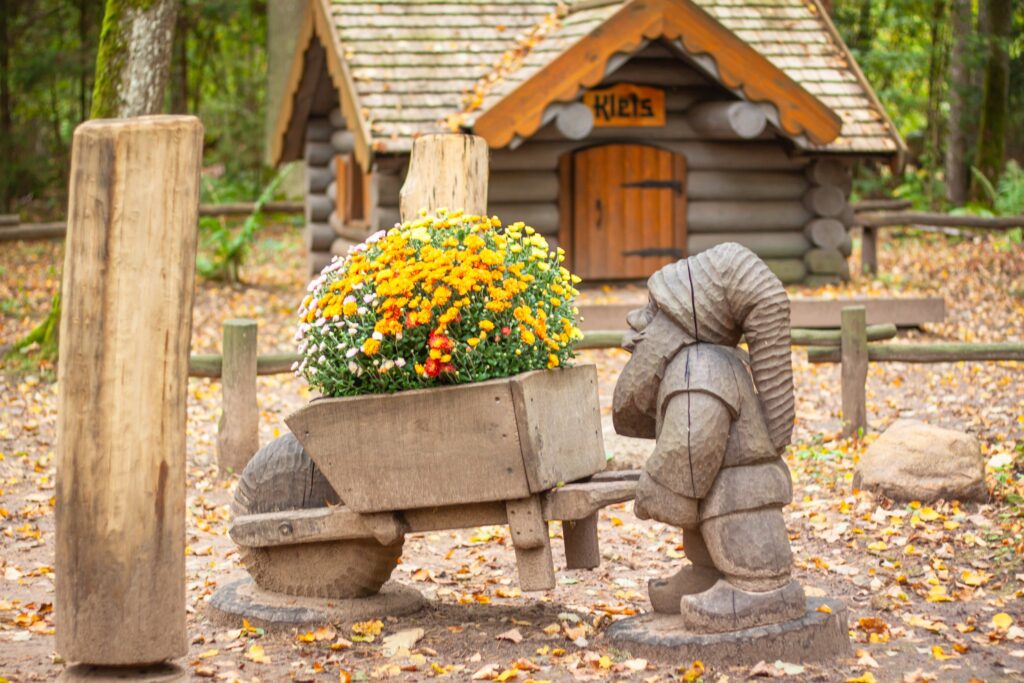 Autors: Publicitātes foto.