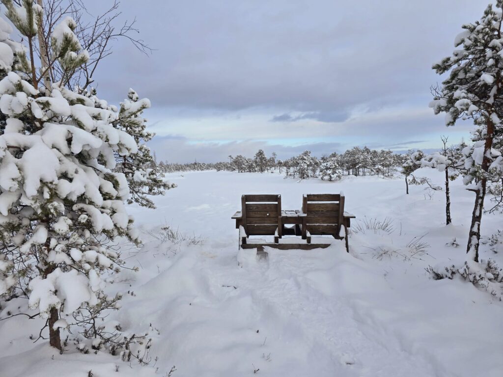 Autors: www.bauskasdzive.lv