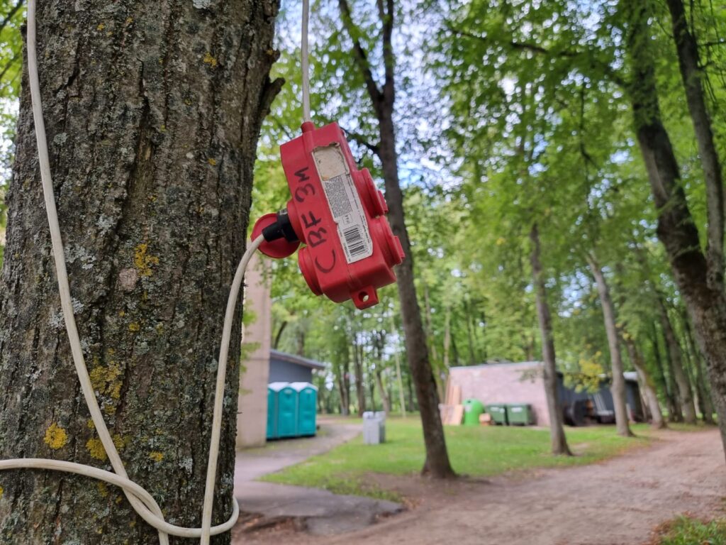 Autors: www.bauskasdzive.lv