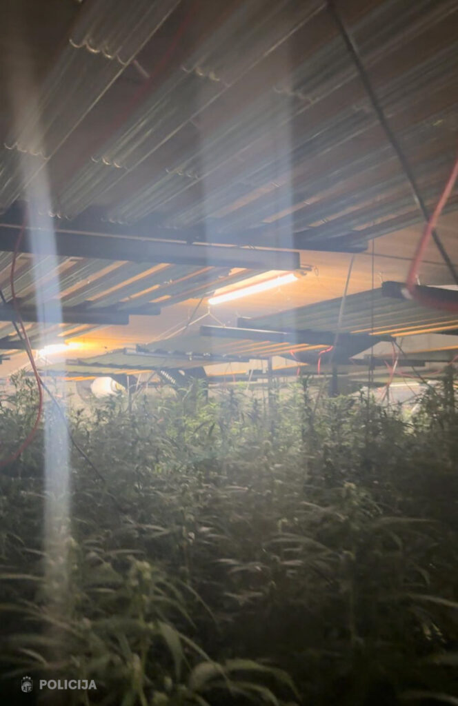 Autors: Valsts policija