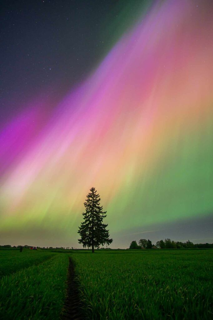 Autors: Guntars Homičs