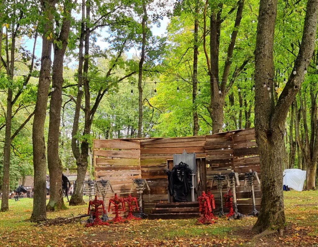 Autors: www.bauskasdzive.lv