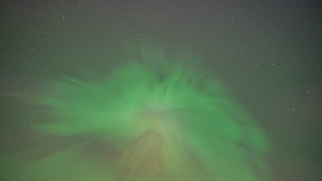 Autors: Guntars Homičs