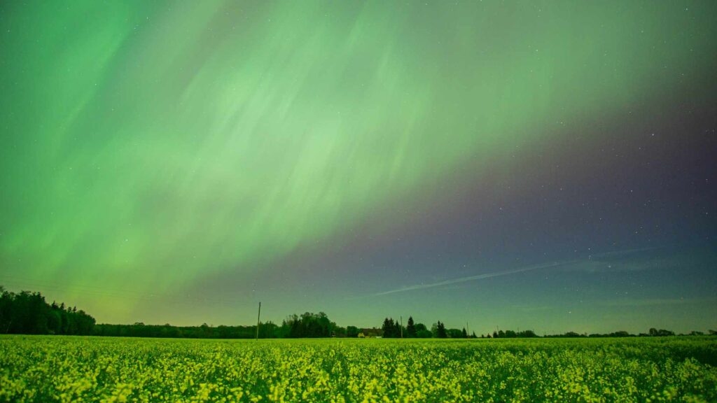 Autors: Guntars Homičs