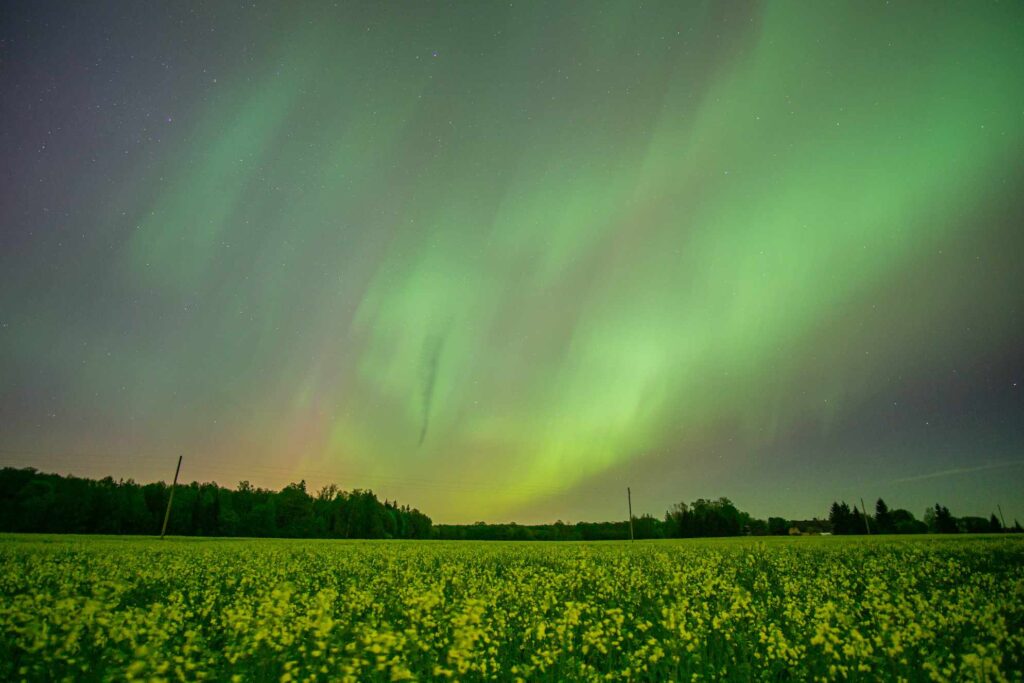 Autors: Guntars Homičs