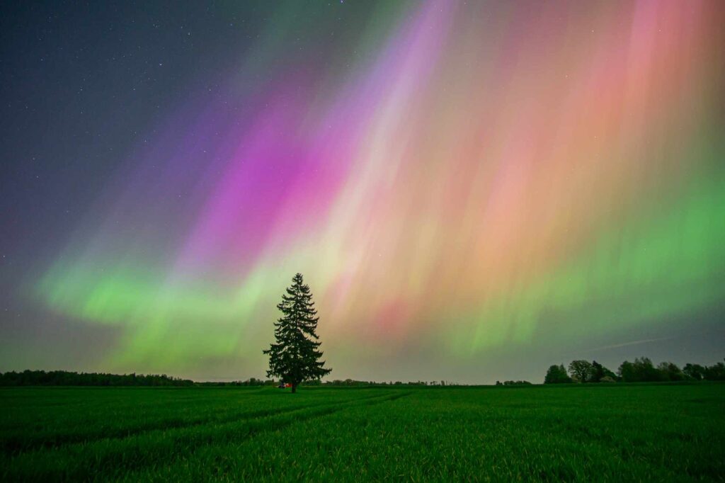 Autors: Guntars Homičs