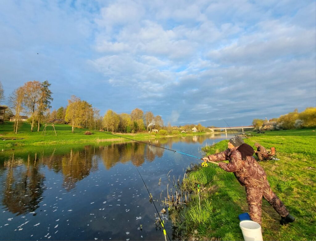 Autors: www.bauskasdzive.lv