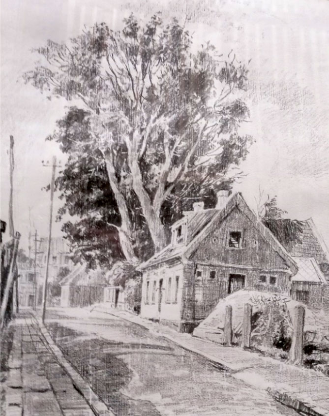 Zigurds Gustiņš. Vecā Bauska. 1954. Tonēts papīrs, zīmulis. 26,5 x 35,5 cm. Bauskas muzejs. Katoļu iela.
