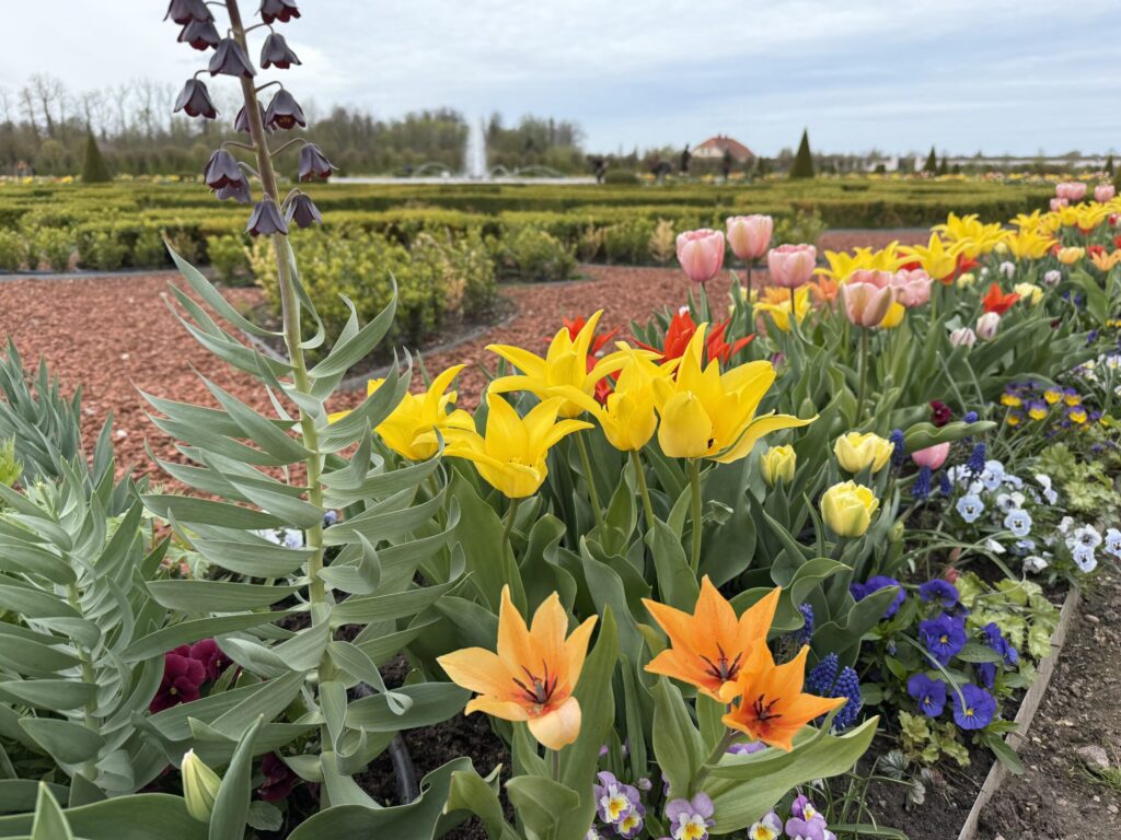 Autors: Ilze Kusiņa,  Anita Bistere