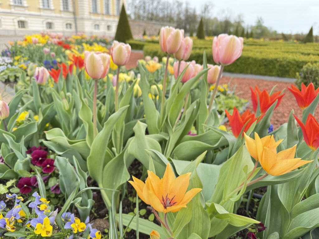 Autors: Ilze Kusiņa,  Anita Bistere