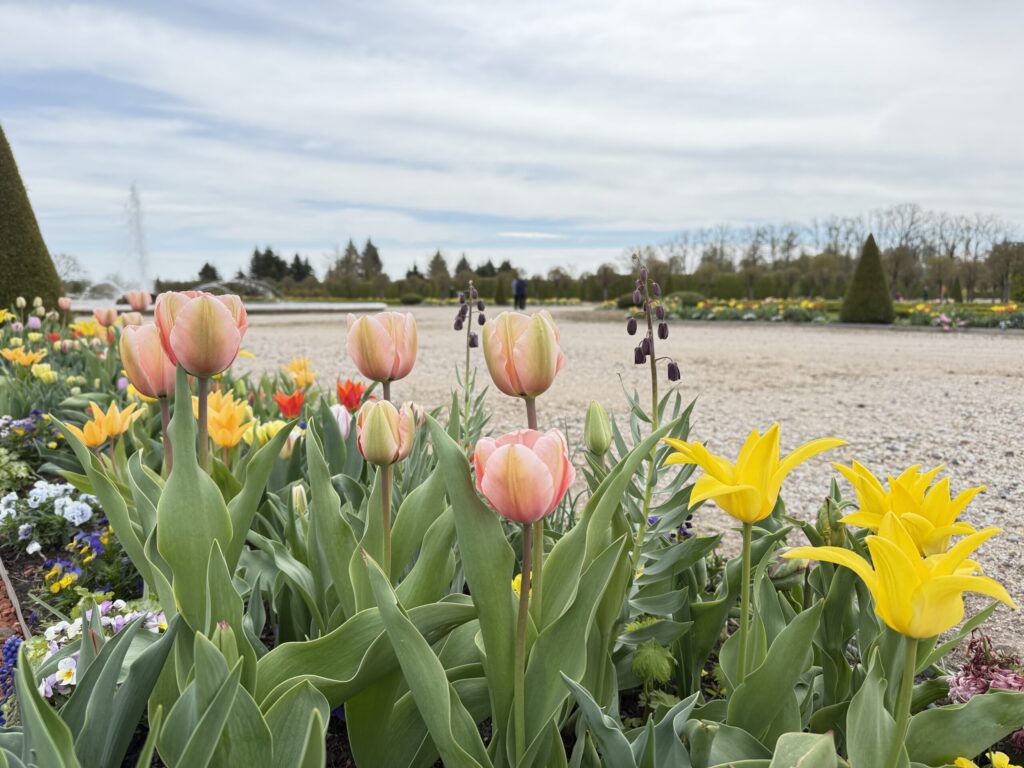Autors: Ilze Kusiņa,  Anita Bistere