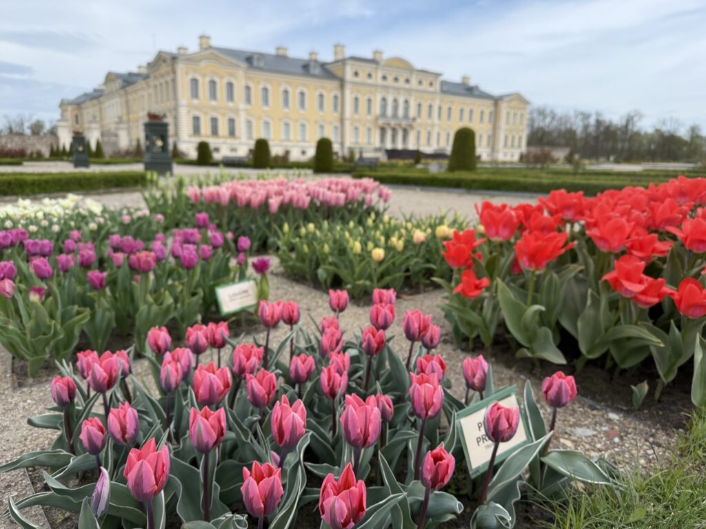 Autors: Ilze Kusiņa,  Anita Bistere