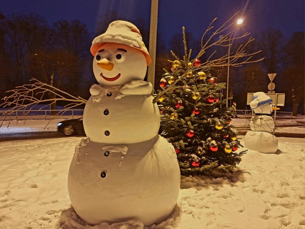 Autors: www.bauskasdzive.lv