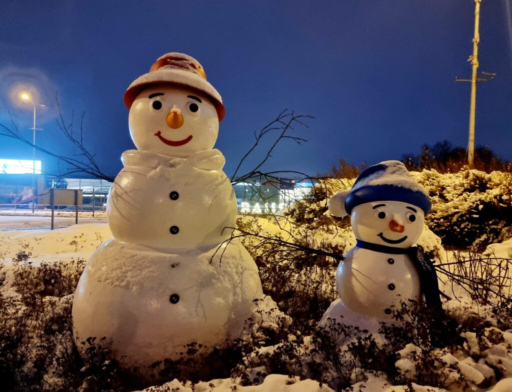 Autors: www.bauskasdzive.lv