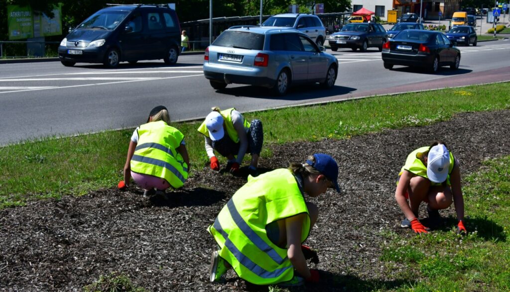 Aluksniesiem.lv raksta attēla aizvietotājs