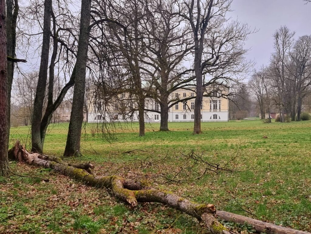 Aluksniesiem.lv raksta attēla aizvietotājs