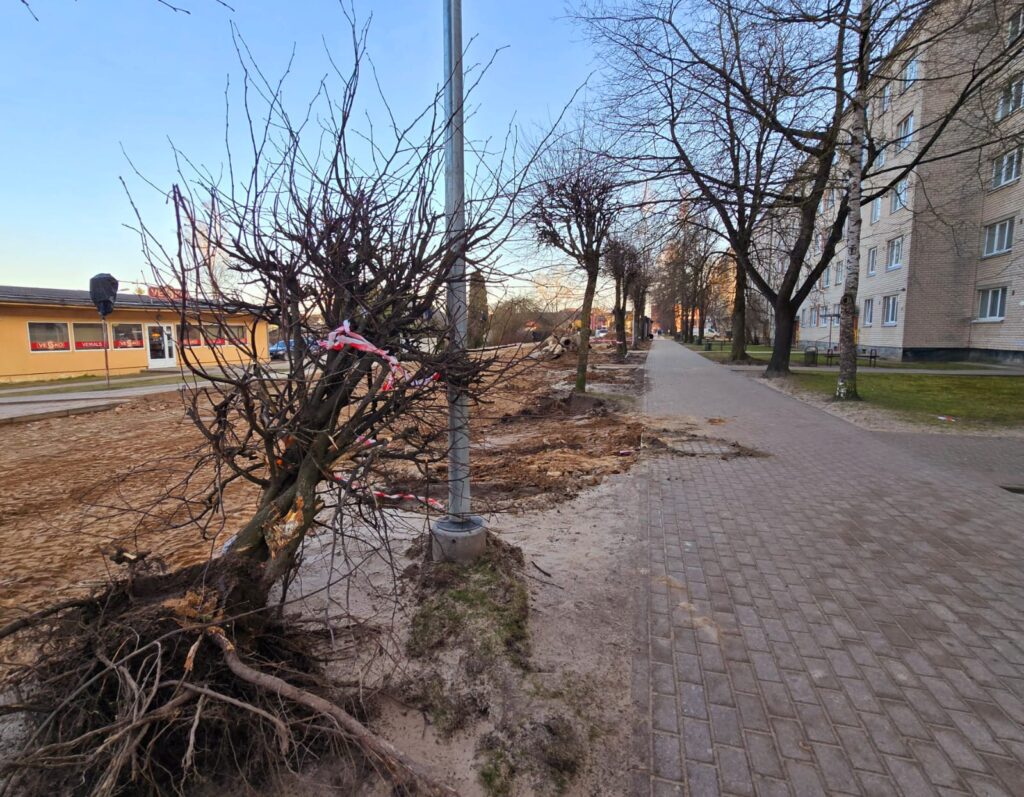 Aluksniesiem.lv raksta attēla aizvietotājs