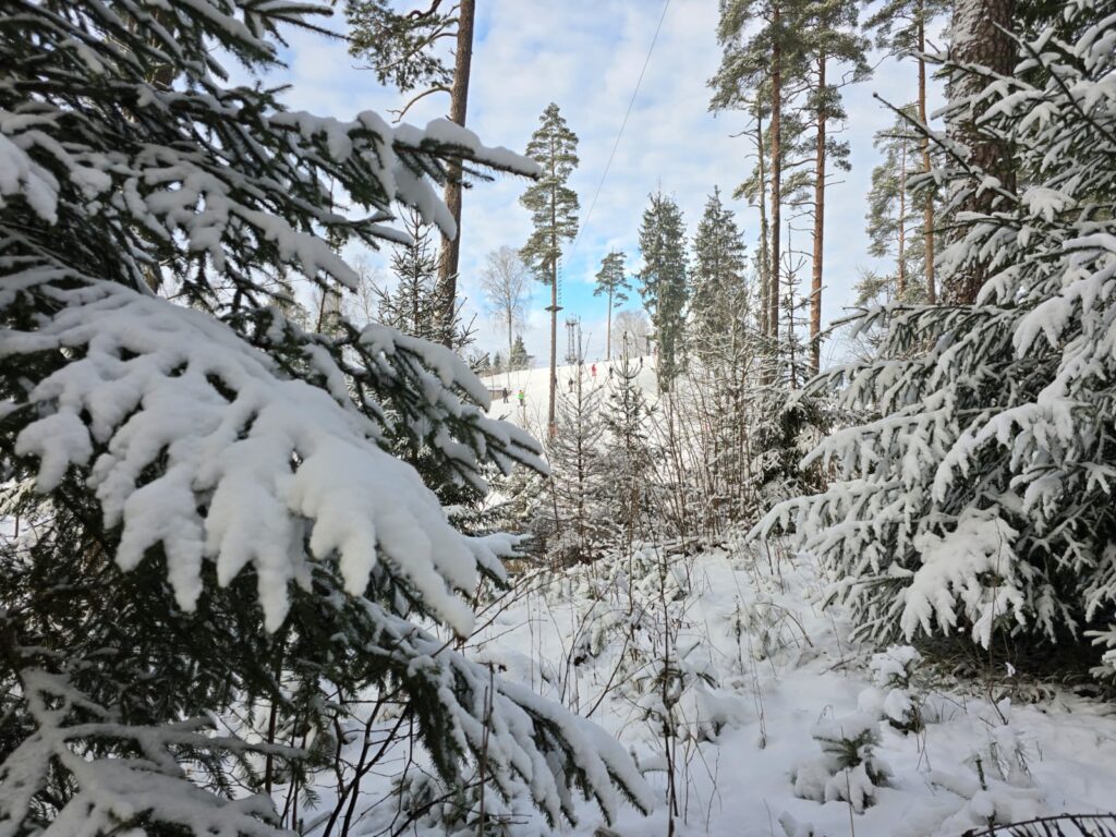 Aluksniesiem.lv raksta attēla aizvietotājs