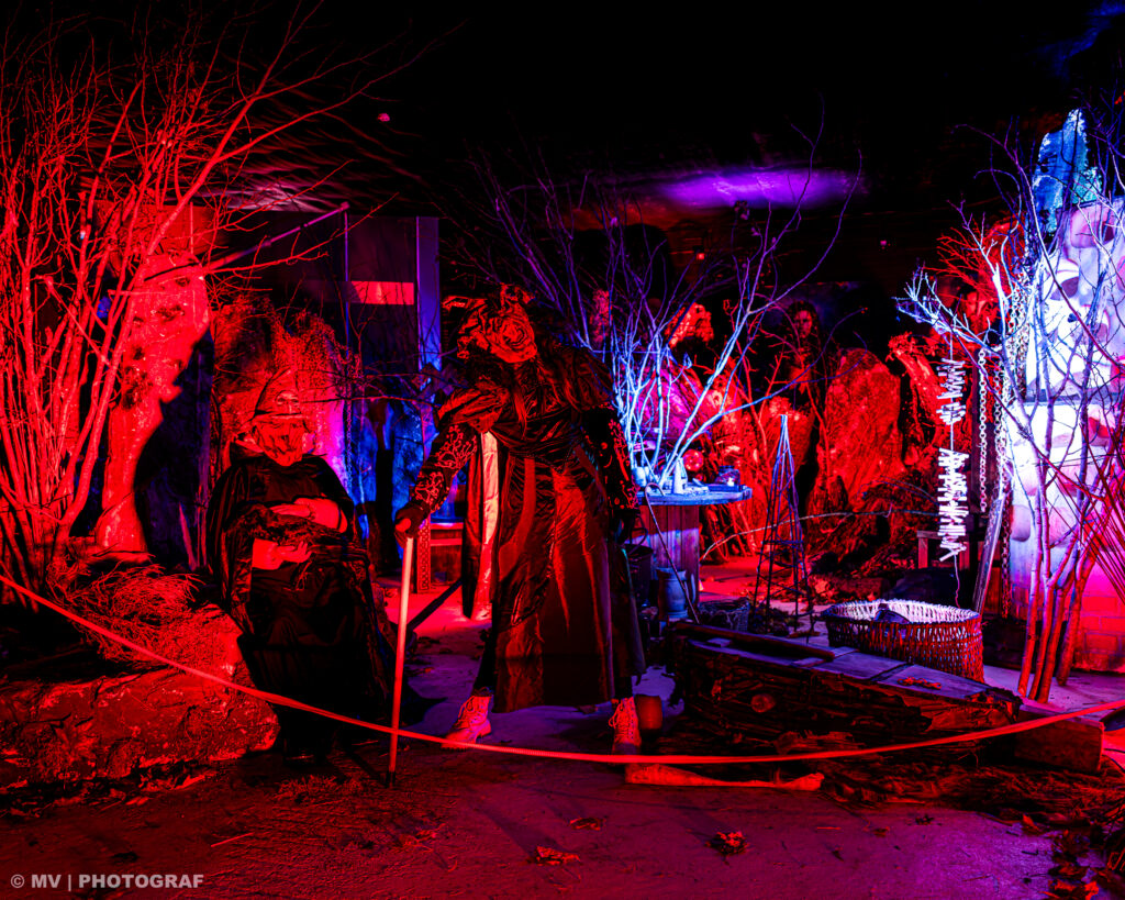 Autors: Publicitātes fotogrāfijas, autors: Māris Vancevičs.